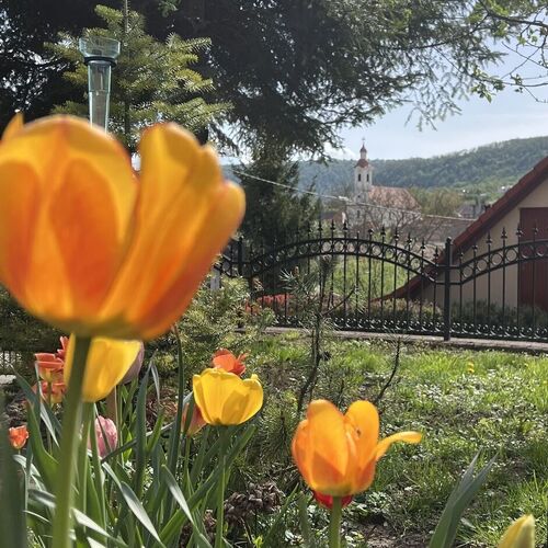 Malomvölgy Vendégház Tardos 