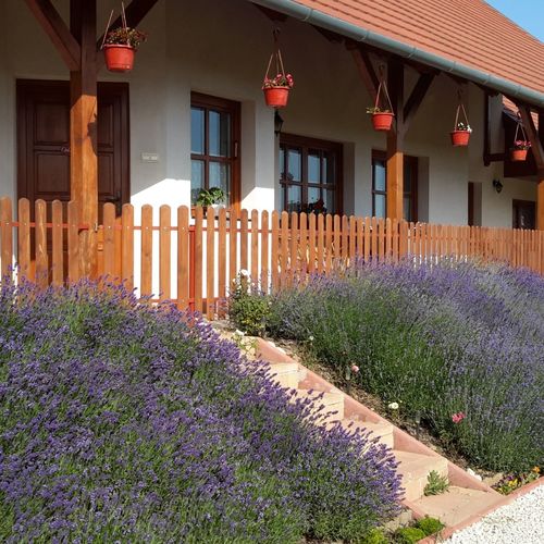 Ittlennio Vendégház Szilvásvárad 