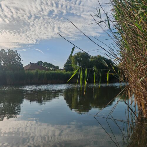 Manna Apartmanház Gyomaendrőd 2 Manna Apartmanház Gyomaendrőd