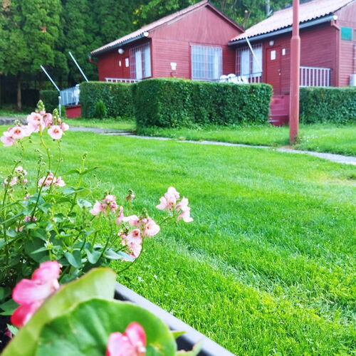 Mecsek Virágai Lak Apartman Magyarhertelend 1 Mecsek Virágai Lak Apartman Magyarhertelend