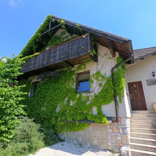 Medvefül Vendégház Hárskút 