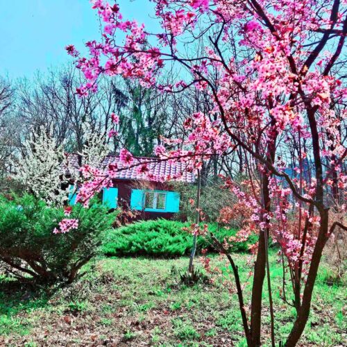 Meredély Kunyhószállás Leányfalu 2 Meredély Kunyhószállás Leányfalu