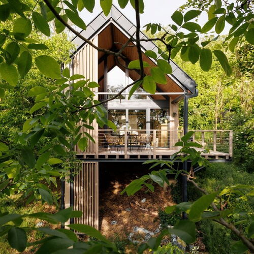 Mimosa Lombház Nemeshetés 