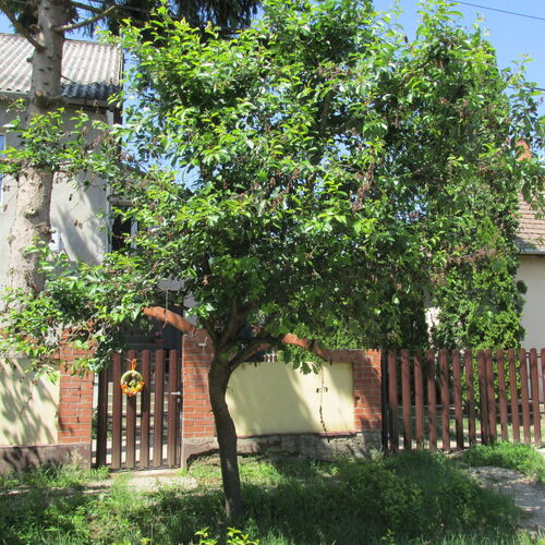 Mn Apartman Magyarnándor 