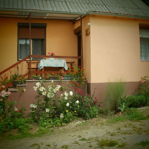 Mókus-lak Apartman Bakonybél 