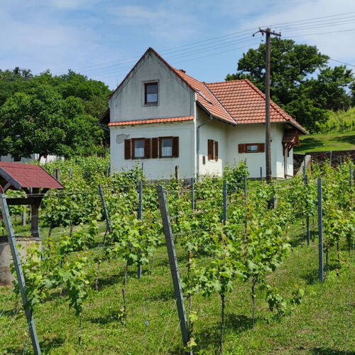 Mórocz Ház Nemesgulács 