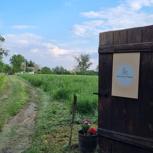 Múltidéző Tanya Csongrád 