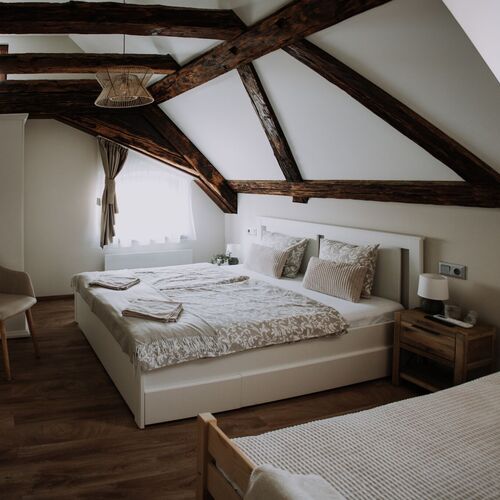 Mushrooms Malomszállás Apartman*** Tata 1 Mushrooms Malomszállás Apartman*** Tata