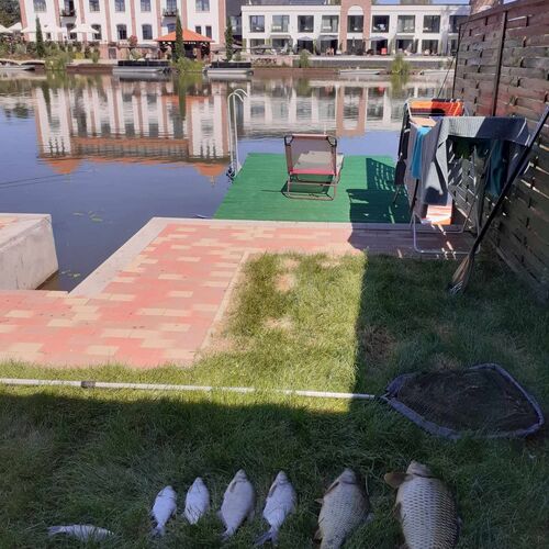 Művészház Nyaraló Békésszentandrás 