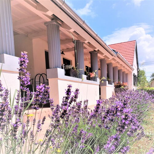 Nanica Vendégház Buzsák 1 Nanica Vendégház Buzsák