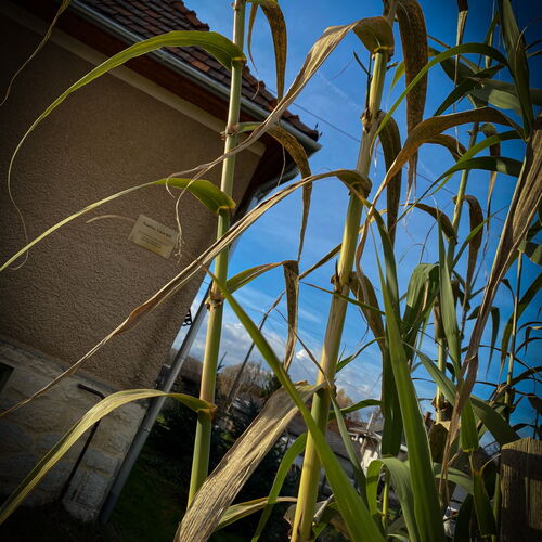 Napfény Liget Vendégház Csokvaomány 