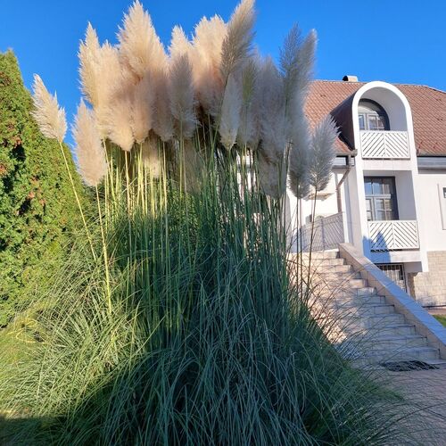 Ördöglovas Vendégház Bajna 