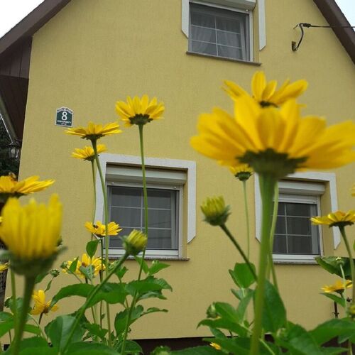 Diána Apartman Bogács 