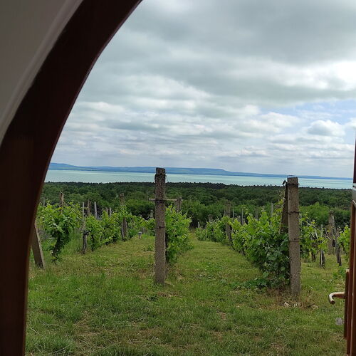 Napraszállás Vendégház Balatonakali 