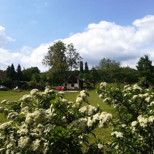 Naturkert Vendégház Várvölgy 