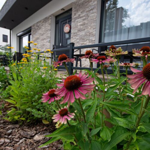 Aranyménes Panzió és Szabadidő Park Szarvas 