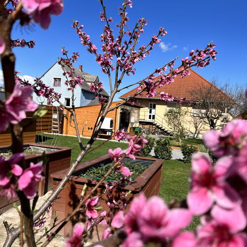 Négy Évszak Vendégház Nyúl 2 Négy Évszak Vendégház Nyúl