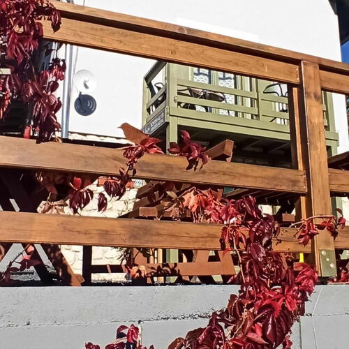 NemCsuri Vendégház Somlóvásárhely 