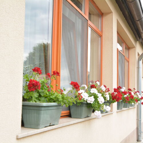 Gesztenye Apartman Balatonboglár 