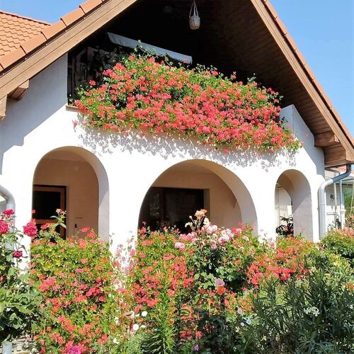 Noé Apartman Várvölgy 