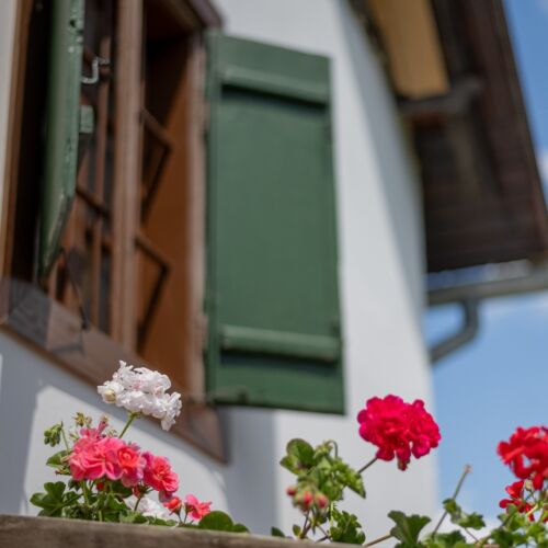 Picur Lak Magyarszombatfa 