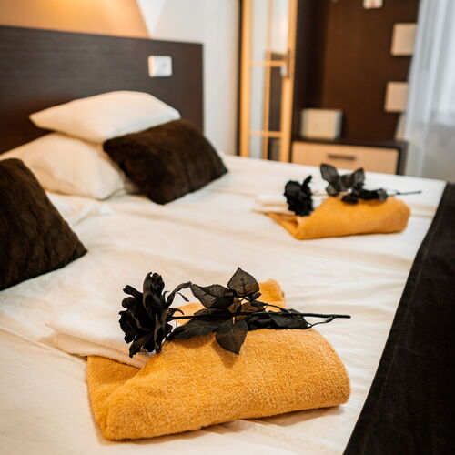 Panoramic Art Apartment with jacuzzi Balatonlelle 