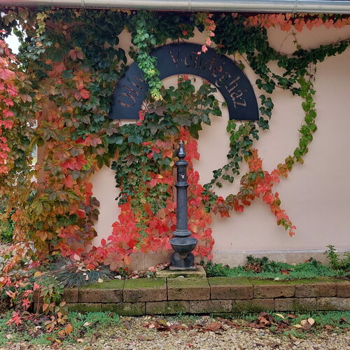 Olíva Vendégház Simonfa 