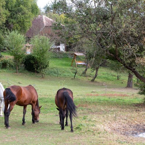 Őrségi Fecskefészek Vendégház Őriszentpéter 1 Őrségi Fecskefészek Vendégház Őriszentpéter