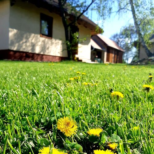 Zsámbéki Pálos Vendégház 