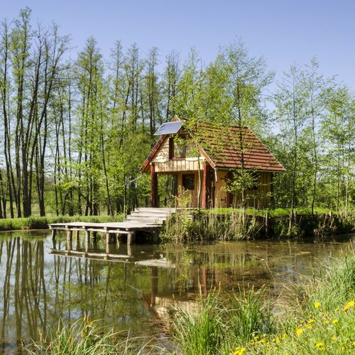 Őze Tó és Faház Bárdudvarnok 