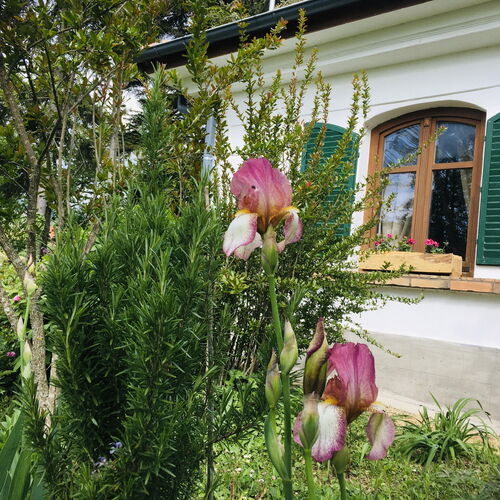 PajtaBagoly Vendégház Nemesvita 2 PajtaBagoly Vendégház Nemesvita