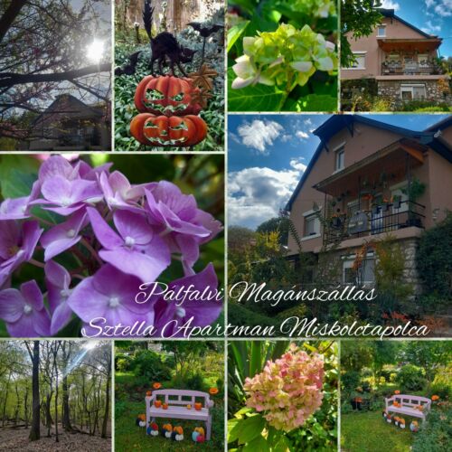 Pálfalvi MSz Sztella Apartman Miskolctapolca 