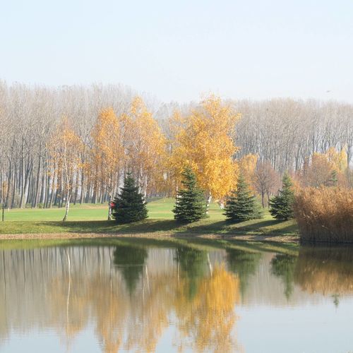 Cinege Vendégház Bugac 