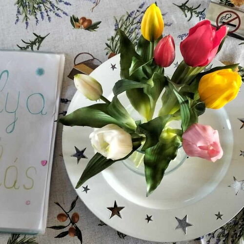 Kedves Vendégház Balatonfüred 