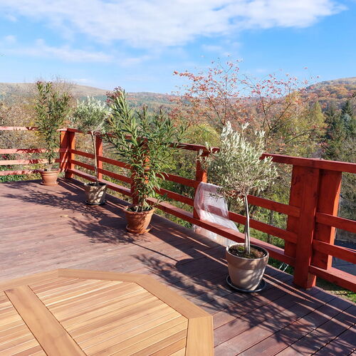 Vadvirág Vendégház Izsák 