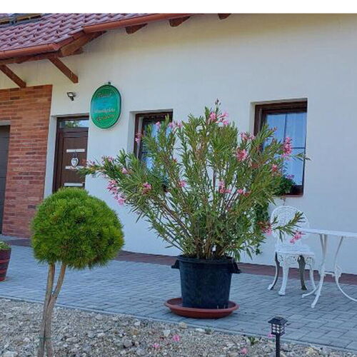 Patak Vendégház Zalaegerszeg 