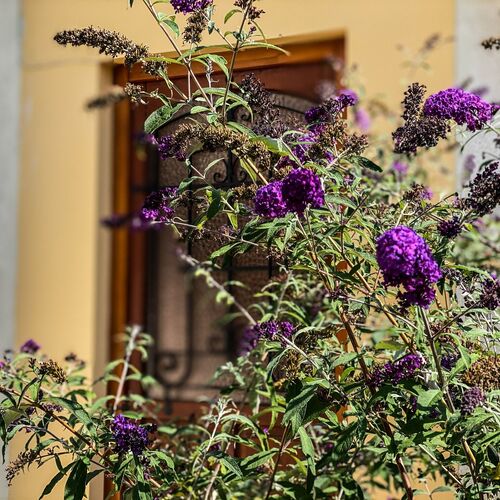 BNCK Wellness Residence Sátoraljaújhely – Rudabányácska 