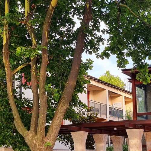 Patti Apartman Siófok 