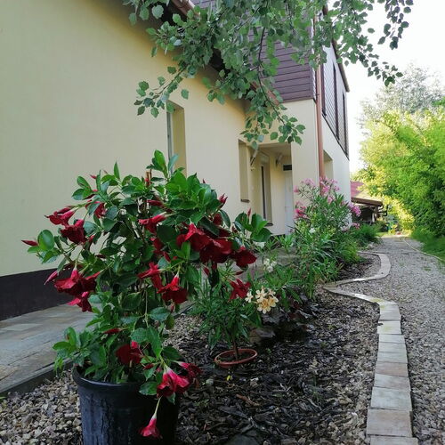 Perfekt Apartman Zamárdi 