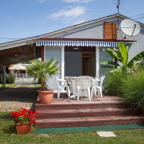 Forgó Lovastanya Pirtó 