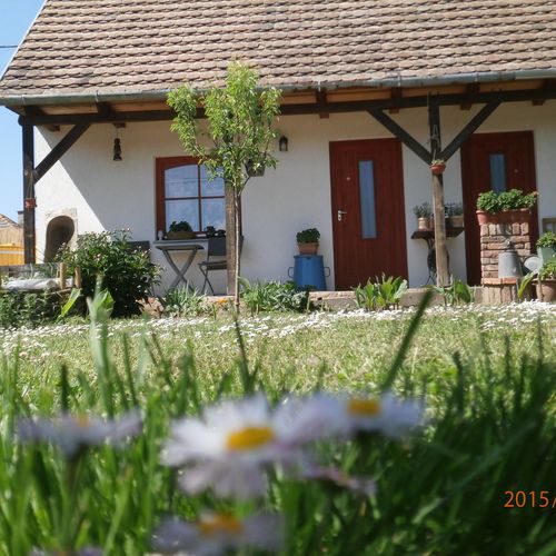 Petra Vendégház Sellye 3 Petra Vendégház Sellye