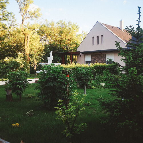 Pitypang Vendégház Kiskunfélegyháza 