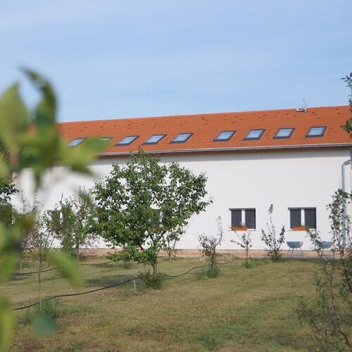 Pöttyös Tanya Csongrád-Bokros 