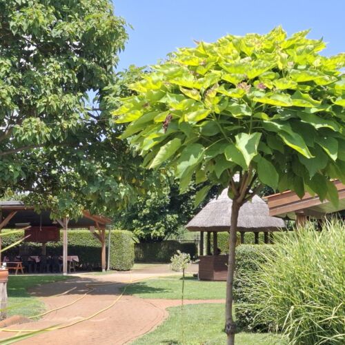 Erika Apartman Sárvár 