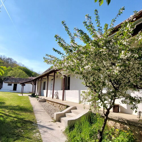 Tölgyfaliget Apartmanházak Csesztreg 