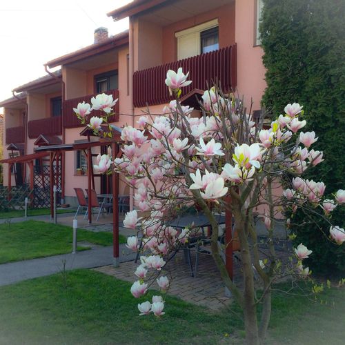 RT Home Vendégház Szombathely 2 RT Home Vendégház Szombathely