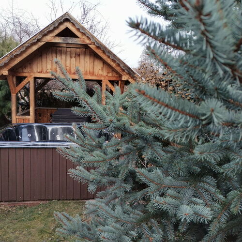 Rácz Vendégház Dédestapolcsány 