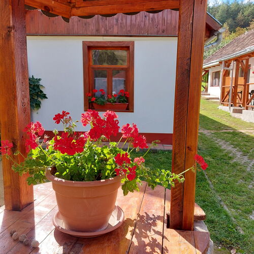 Várkapu Apartmanok Gyula 