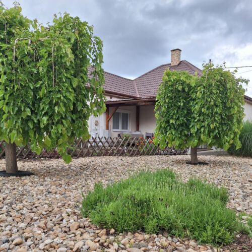 Hazavárlak Apartman Decs 