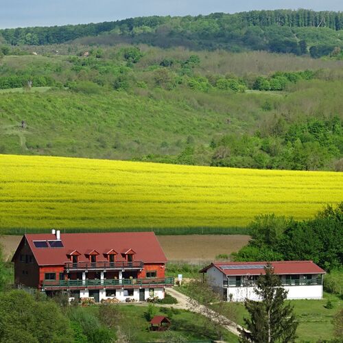 Terrace Apartments Orfű 